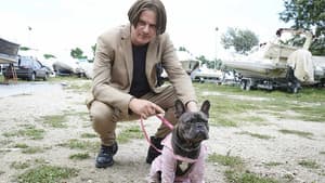 Il colpo del cane — foto 3