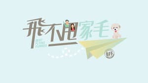 飛不甩家毛 — foto 1