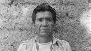 La Sombra de un Dios — foto 3