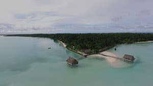 Anote's Ark — foto 9