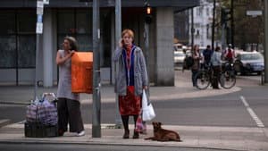 Hundekopftee — foto 5