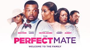 The Perfect Mate — foto 4