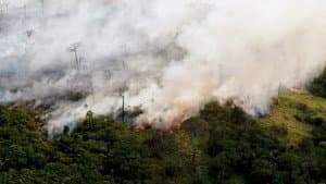 Amazônia Sociedade Anônima — foto 2