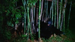 The Beast That Killed Women — foto 3