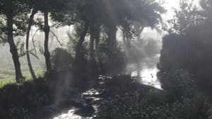 Rio Torto — foto 1