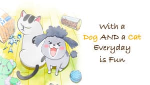 犬と猫どっちも飼ってると毎日たのしい — foto 3