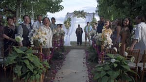 4 Wedding Planners — foto 5
