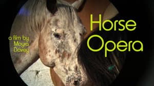 Horse Opera — foto 1