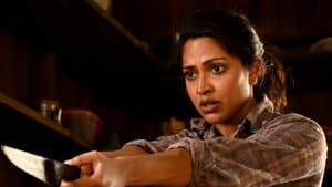 ലെവെൽ ക്രോസ് — foto 2