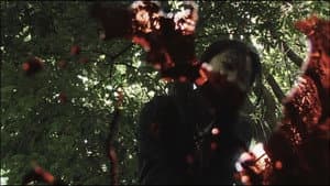 君はゾンビに恋してる — foto 6
