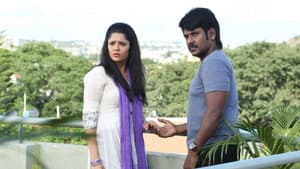 சிவலிங்கா — foto 6