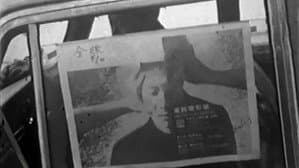 全線 — foto 2