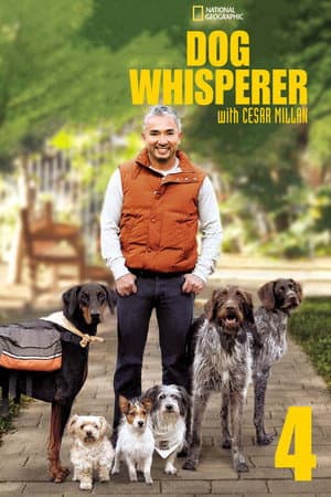 Temporada 4