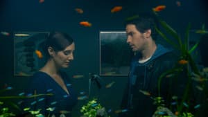 La vida de los peces — foto 1