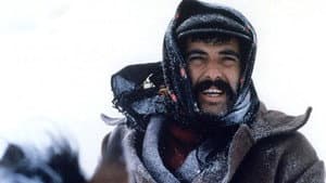 Sürü — foto 5