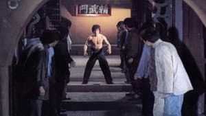 Bruce and Shaolin Kung Fu — foto 3