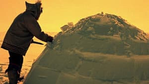 How to Build an Igloo — foto 2