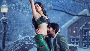 మిస్టర్‌ బచ్చన్ — foto 5