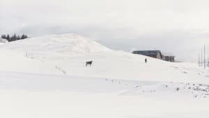 Drii Winter — foto 9