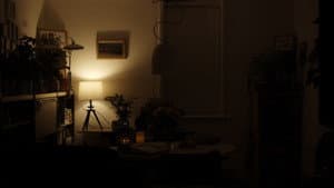 Nights of Recollection — foto 1