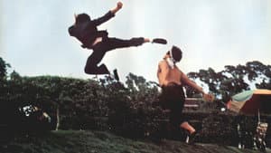 唐山虎威殲殺手 — foto 3