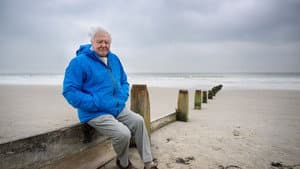 A Deeper Dive with David Attenborough — foto 8