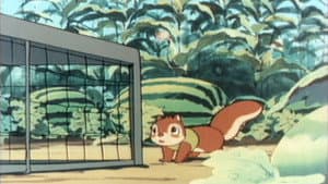 Episodio 7
