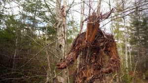 The Stickman's Hollow — foto 1