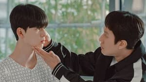 기적의 형제 — foto 6
