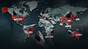 Sharknado 5: Aletamiento global — foto 4