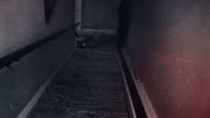 An American Murder Mystery: The Staircase — foto 1