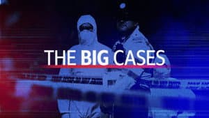 The Big Cases — foto 1