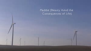 Maddie (Beauty Amid the Consequences of Life) — foto 1