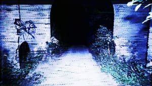 Transmission — foto 1