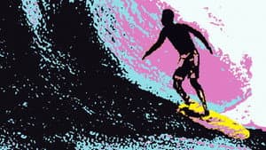 The Endless Summer Revisited — foto 1