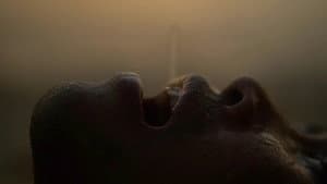 The Last Drop — foto 2