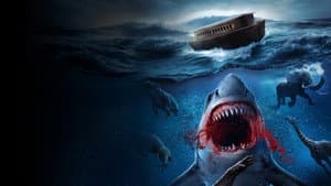 Noah’s Shark — foto 1
