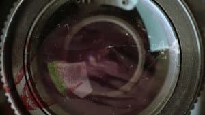 The Found Footage Phenomenon — foto 2