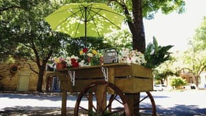 The Man Who Loved Flowers — foto 2