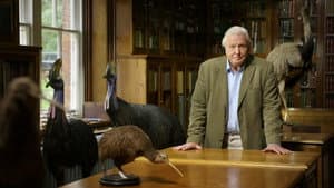Attenborough's Big Birds — foto 1