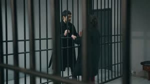 Episodio 81