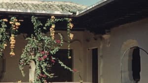 Terra Femme — foto 2