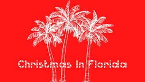 Christmas In Florida — foto 6