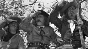 Goofs and Saddles — foto 1