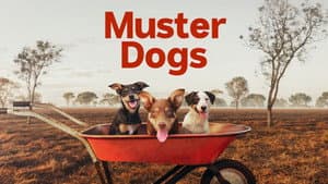 Muster Dogs — foto 11