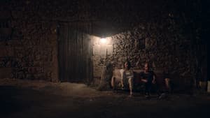 Kelebekler — foto 2
