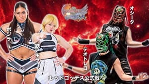 第15回 ゴッデス・オブ・スターダム ～タッグリーグ戦～ in TAKASAKI — foto 8