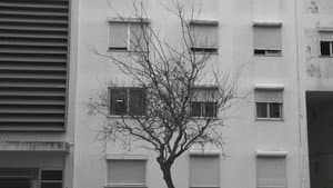 Vulneráveis — foto 2