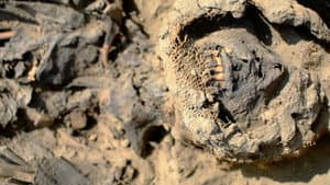 Lost Cities: The Great Flood — foto 6