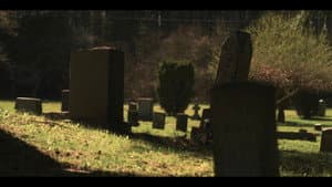 They Reach — foto 2